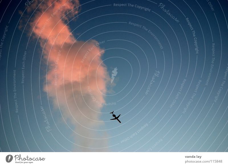 Zuckerwatte rosa Flugzeug Anschlag Terror Flugzeuglandung Flughafen Industrie Luftverkehr Rauch Himmel blau Abenddämmerung Schönes Wetter
