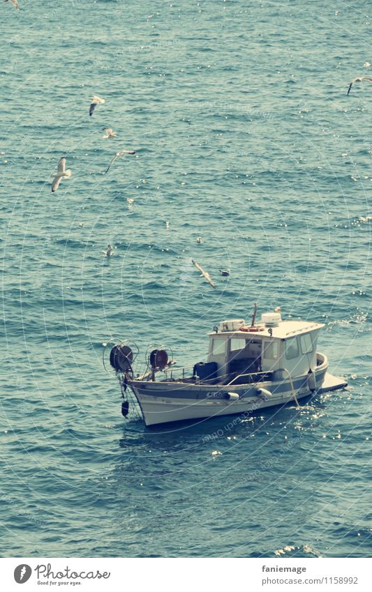 das selbe in grün... Umwelt Natur authentisch Fischerboot Fischereiwirtschaft Marseille calanques marseilleveyre Mittelmeer mediterran grün-blau weiß Möwe