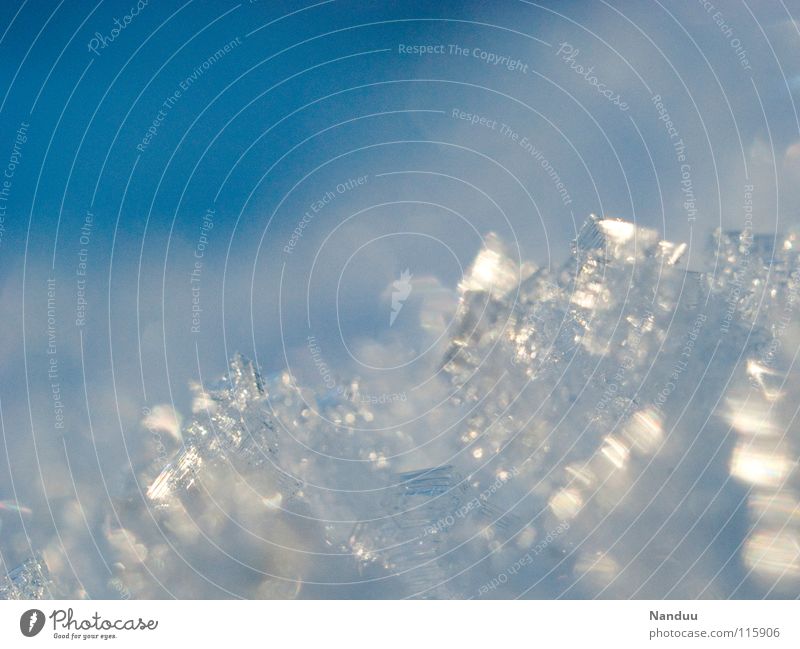 Schneeflöckchen Kristallstrukturen Eis Eisblumen Schneekristall Eiskristall kalt Winter glänzend Makroaufnahme filigran zart schön Klimaschutz Schneeschmelze