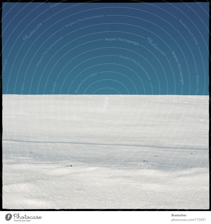 Knut träumt... Winter kalt Eis Horizont leer Einsamkeit Nordpol Südpol Umwelt Planet Klimawandel Klimaschutz Goldener Schnitt Antarktis Schnee Landschaft