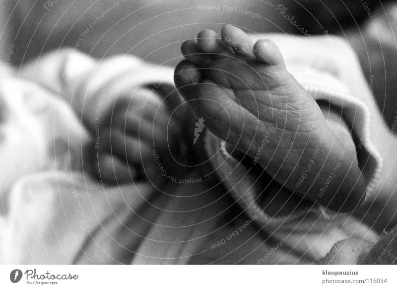 Babyfuß Zehen Geburt Fußsohle Kleinkind Schwarzweißfoto Kreißsaal Falte Körperdetail Barfuß