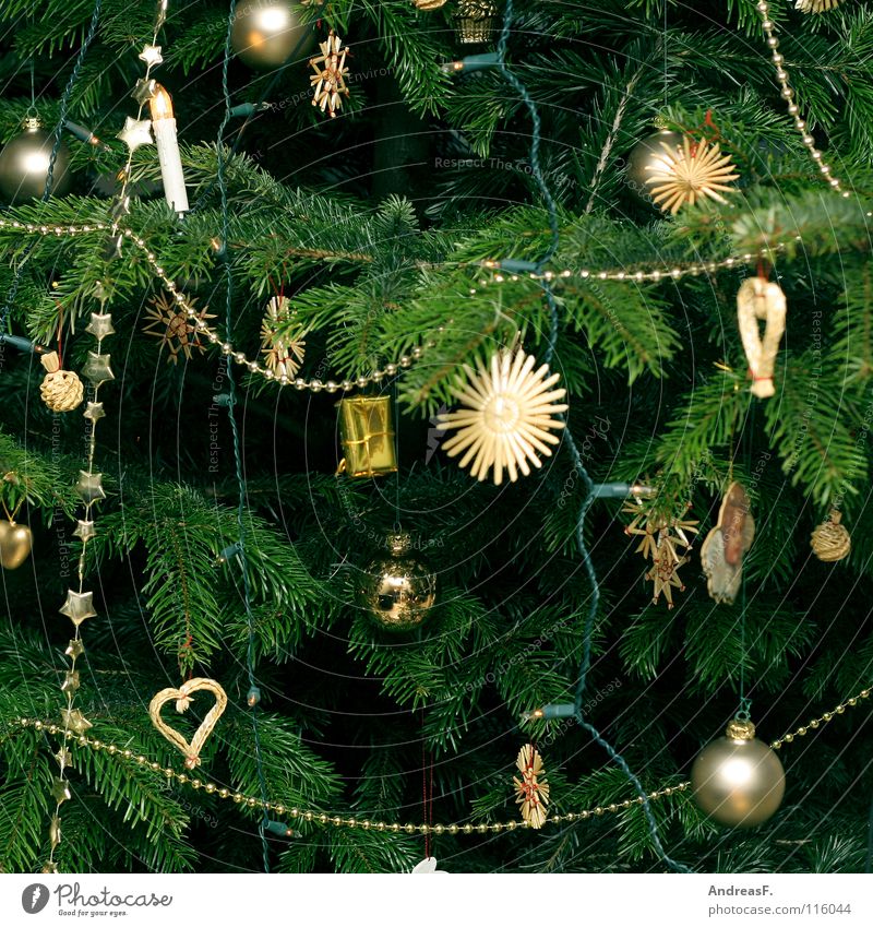 alle jahre wieder Weihnachtsbaum Weihnachten & Advent Weihnachtsdekoration Baum Nadelbaum Tanne Lichterkette grün Winter Christbaumkugel verschönern Dezember