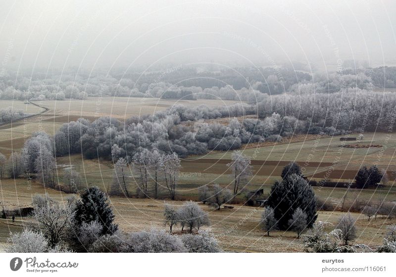 Puderzucker ?! Winter kalt Raureif gefroren Wiese Feld Baum Panorama (Aussicht) Nebel weiß Sträucher Schnee Frost Weide Landschaft Ferne Amerika Tal