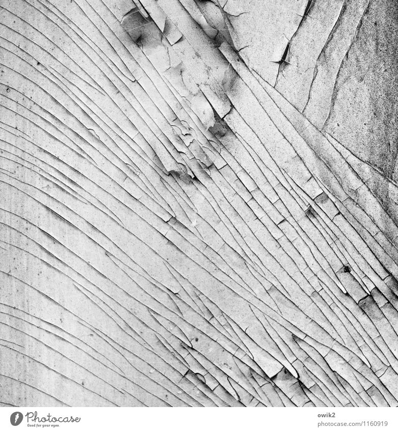 Einschnitt Holz alt dehydrieren dünn authentisch klein nah trist trocken Verfall Vergänglichkeit Zerstörung Zahn der Zeit Hintergrundbild Riss verfallen