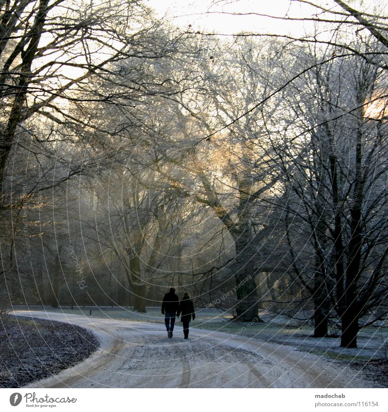 SPAZIERGANG Wald Holzmehl kalt Winter Spaziergang Mann Frau maskulin Sonntag Kitsch Sonnenuntergang schön Verhext träumen Märchen gehen laufen Zusammensein