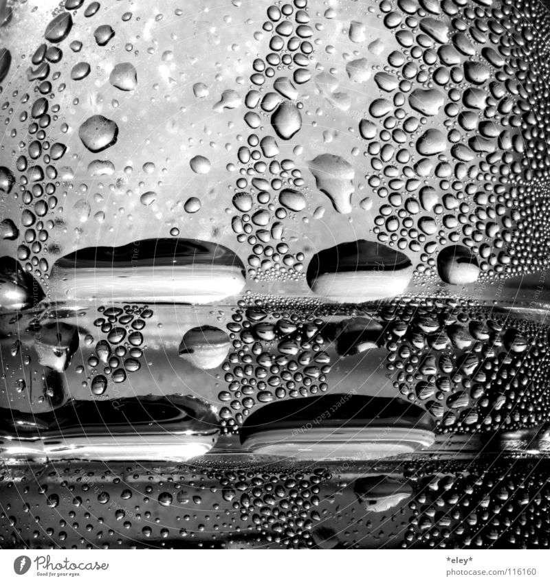 water drops schwarz weiß grau Wassertropfen Licht glänzend kalt feucht nass Fenster Durstlöscher Spiegel Erfrischung November Wolken Gastronomie Haushalt