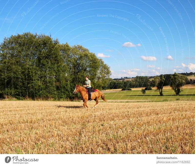 Das Glück dieser Erde ... Reiten feminin Natur Landschaft Himmel Tier Pferd laufen Zusammensein sportlich blau grün Freude Fröhlichkeit Zufriedenheit