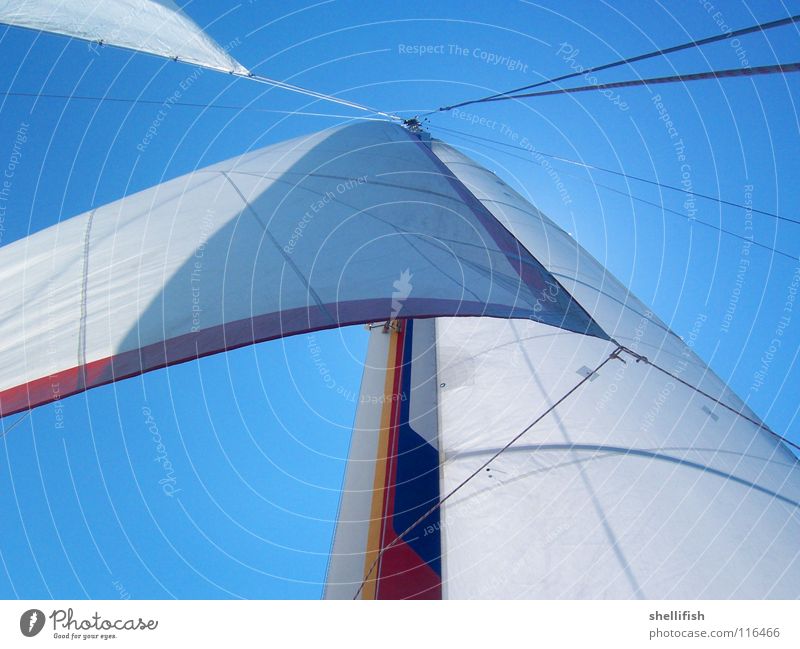 abstraktes Segeln Wasserfahrzeug Jacht leicht Leichtigkeit luftig Stoff Segelschiff Segelboot Katamaran Außenaufnahme Wassersport blau Himmel Kurs Meer Schiff