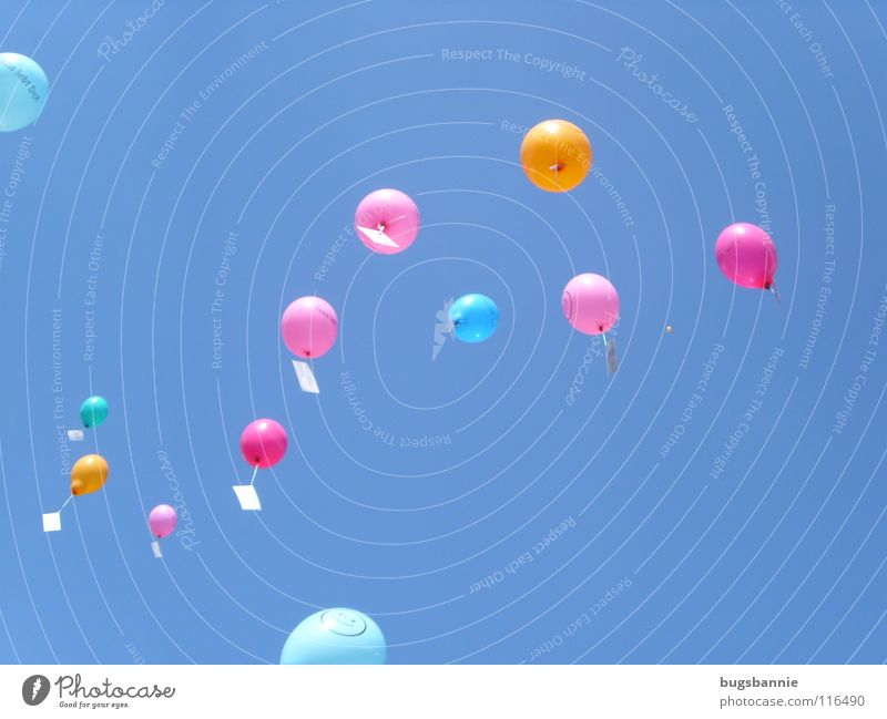 Luftballons rosa mehrfarbig Luftpost Spielen Freizeit & Hobby Freude Himmel fliegen blau Luftverkehr Sportveranstaltung fliegen lassen hoch