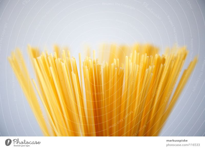 pasta Nudeln Spaghetti Teigwaren Stab lang dünn Italien gelb Mehl Vegetarische Ernährung Strukturen & Formen Ei