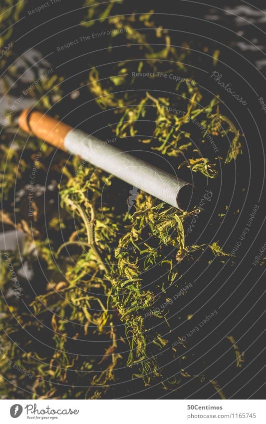 Cannabis als Rauschmittel Rauchen Zigarette Hanf Industriehanf ruhig gefährlich Drogensucht Duft Erfahrung Erholung Frustration bedrohlich Verbote Farbfoto