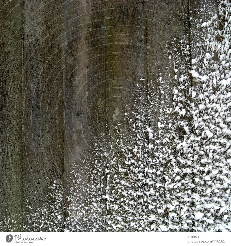 Kalt und Grau Wand Eisblumen kalt gefroren frieren Winter Beton diagonal weiß grau trist Vergänglichkeit Schnee Teilung