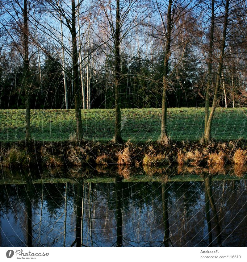 jetzt fahrn wir übern see 5 Spiegel Reflexion & Spiegelung Flussufer Baum Geometrie See Wasseroberfläche Deich Wasserspiegelung Symmetrie grün über Wasser