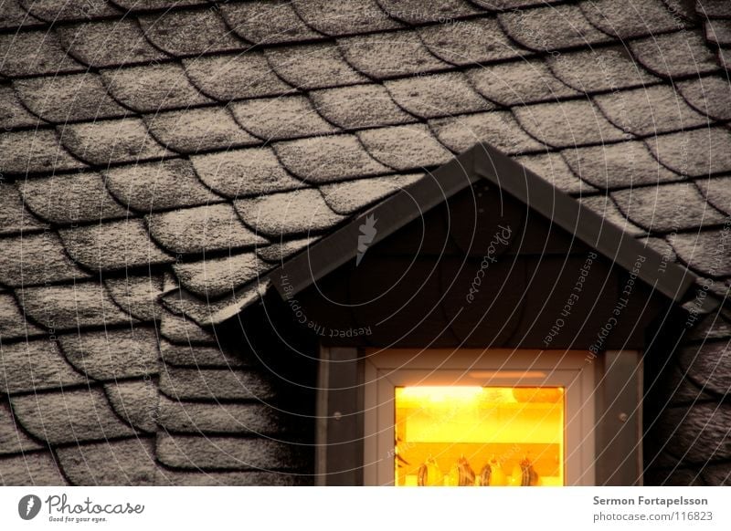das dach gegenüber Dach Haus Fenster Dachgaube Licht Dachziegel Deckung Winter kalt Raureif Tasse Küche Gebäude Wohnung Dachgeschoss Abend gründerzeit