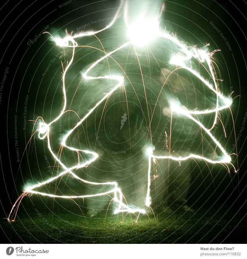 Oh, Tannenbaum dunkel - ein lizenzfreies Stock Foto von Photocase