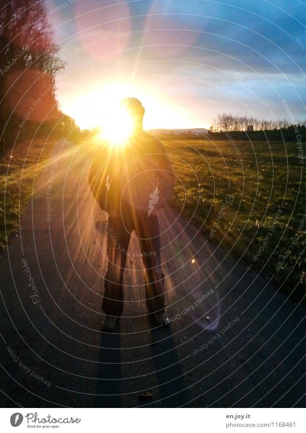 Nordlicht Sonne maskulin Mann Erwachsene 1 Mensch Umwelt Landschaft Himmel Wolken Horizont Sonnenaufgang Sonnenuntergang Sonnenlicht Wetter Wiese Wege & Pfade