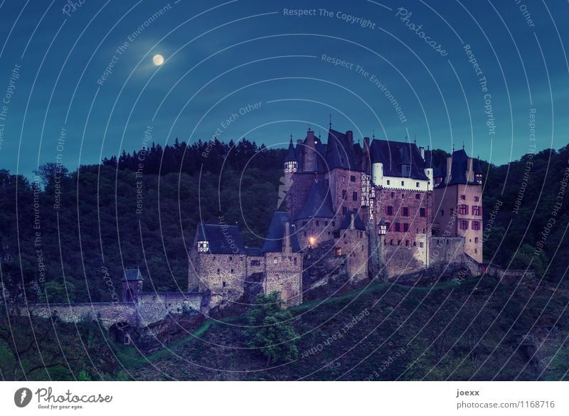 Der Spuk beginnt. Landschaft Himmel Nachthimmel Vollmond Schönes Wetter Wald Berge u. Gebirge Burg oder Schloss Mauer Wand alt groß historisch hoch blau braun