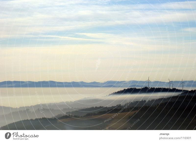 Windkonsumenten Vogesen Hügel Mittelgebirge Fichte Schwarzwald Wald Baum Wolken Nebel Wolkendecke ökologisch Erneuerbare Energie Berge u. Gebirge Wetter