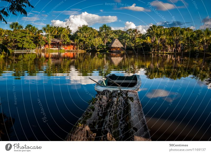 der Dschungel - Amazonas von Peru Ferien & Urlaub & Reisen Tourismus Ausflug Abenteuer Ferne Freiheit Expedition Camping Sommerurlaub Insel Umwelt Natur
