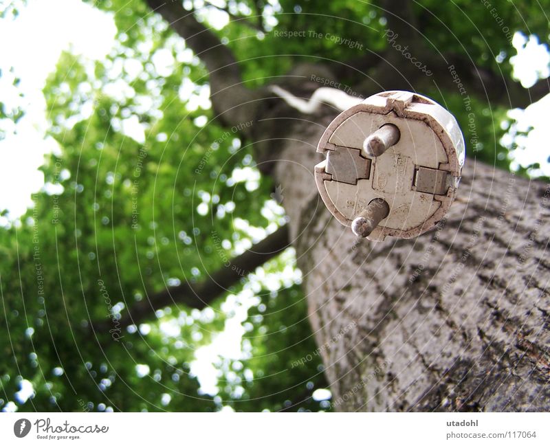 Ökostrom Baum Stecker Elektrizität ökologisch Baumrinde Baumkrone Blatt grün Sommer Erneuerbare Energie lustig assoziativ Anschluss hängen obskur Ast Zweig