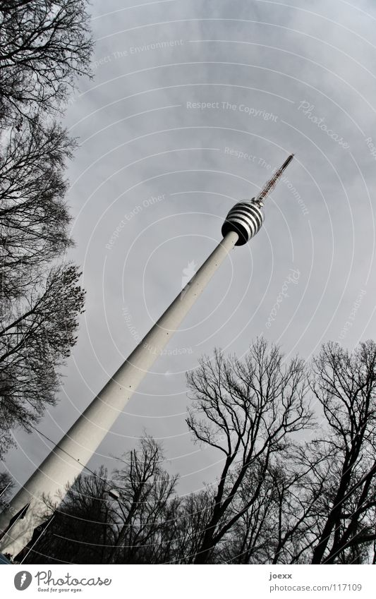 Schiefer Turm Antenne Baum Bauwerk dunkel Funktechnik grau groß lang Medien Sendemast senden Strahlung Stuttgart Umwelt Wahrzeichen Wald Wolken Hochhaus Radio