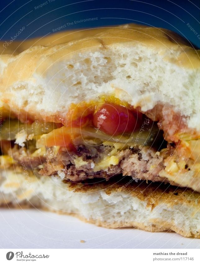 Heut Gibts Burger Jungs! 5 Käse Fleisch Rind Kuh Gewürzgurke Brot Karton Brötchen Weizen Mehl Ketchup trocken kalt verfallen geschmacklos Geschmackssinn