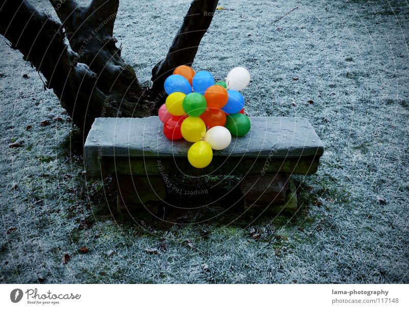 99 - Luftballons mehrfarbig knallig Kontrast Physik kalt Eis Winter Park Parkbank Sitzgelegenheit Wiese Steinbank Baum besetzen Einsamkeit Trauer vergangen
