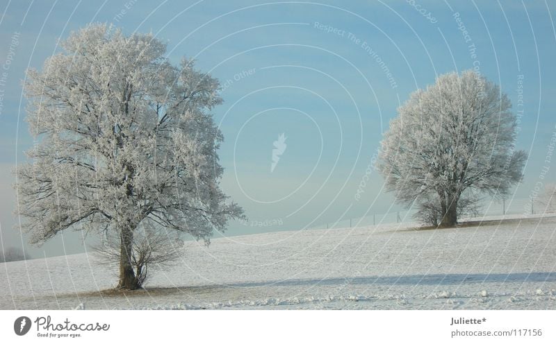 Winter-tr (b) äume kalt Eis Baum Spaziergang Wege & Pfade weiß Schnee bedecken Schwabenland Alm blau hell Ferne