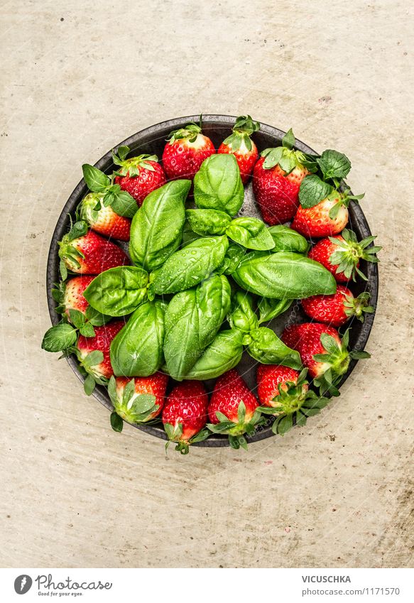 Rustikaler Teller mit Erdbeeren und Basilikum Lebensmittel Frucht Dessert Kräuter & Gewürze Ernährung Frühstück Mittagessen Bioprodukte Vegetarische Ernährung