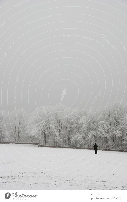Einsam im Winter weiß Eis Raureif Wald Park Nebel Einsamkeit Baum horizontal Strukturen & Formen flach kalt einfarbig Mauer Spaziergang wandern grau Garten
