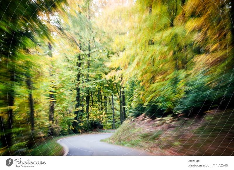 Bleifuß Ausflug Natur Landschaft Sommer Herbst Wald Verkehr Autofahren Straße Kurve Geschwindigkeit Stimmung Pünktlichkeit Stress Bewegung bedrohlich