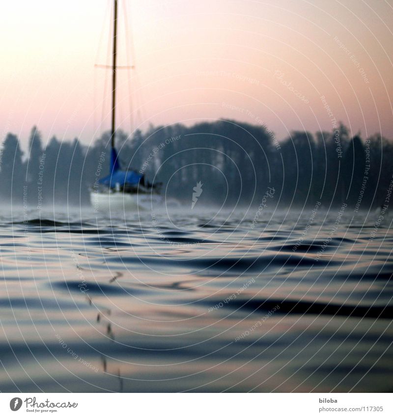 Segelboot in sanften Wellen auf dem See. Boot Wasser Wasseroberfläche spiegeln wiegen liquide kalt tief Wald Nebel Stimmung unberührt harmonisch Winter ruhig