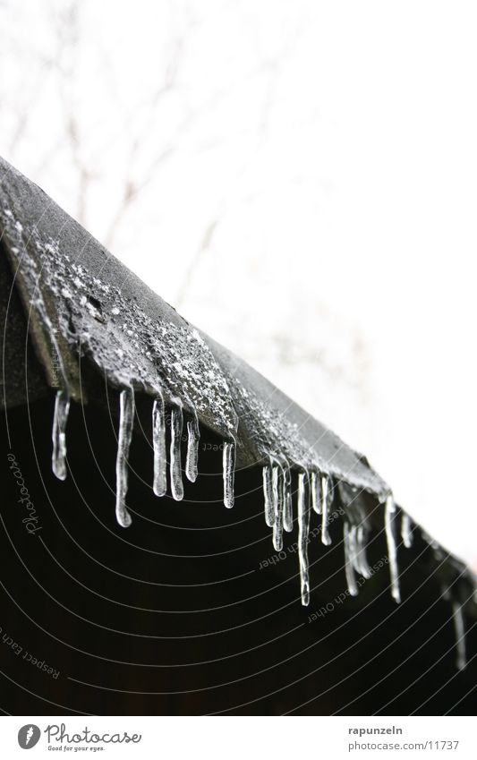 Väterchen Frost lässt grüßen #1 Dach Wasserrinne verfallen nass kalt Winter Eiszapfen Wassertropfen