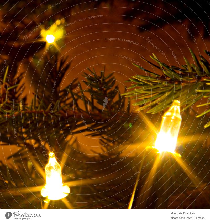 Lichterkette Weihnachten & Advent Weihnachtsbaum schön glänzend Rauschmittel Tannennadel Glühbirne verzweigt Langzeitbelichtung Vordergrund 3 Hintergrundbild