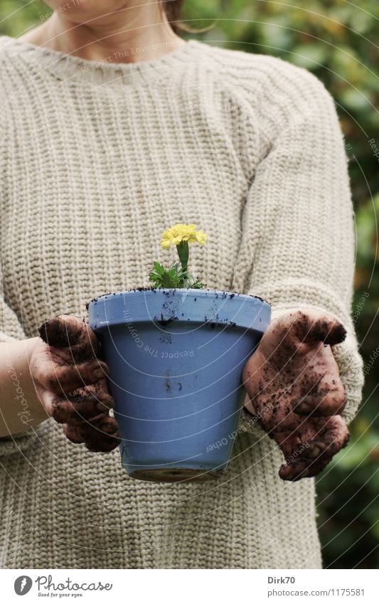 Macht euch 'mal die Finger schmutzig! Freizeit & Hobby Häusliches Leben Garten Gartenarbeit Mensch feminin Frau Erwachsene Hand 1 30-45 Jahre Natur Pflanze