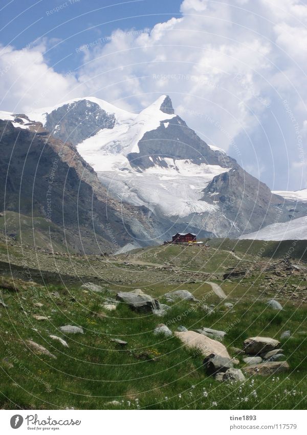 Swiss Alps groß Macht steil Schnee Schweiz Europa wandern Freizeit & Hobby schön Geröll Wolken Gras grün saftig reich Außenaufnahme Panorama (Aussicht)
