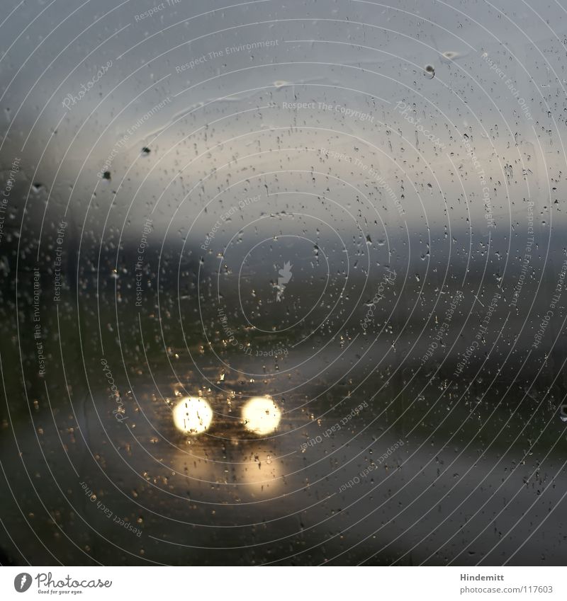 Kontrollblick beim Knutschen Wiese Fahrzeug Licht Windschutzscheibe Fensterscheibe Fahrer Regen schlechtes Wetter nass Reflexion & Spiegelung dunkel Herbst