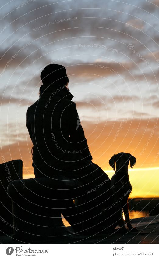 Silhouette Hund Frau schwarz Sonnenuntergang Licht Porträt Verlauf Richtung Horizont Umrisslinie Romantik Ferien & Urlaub & Reisen Nacht Säugetier Schatten