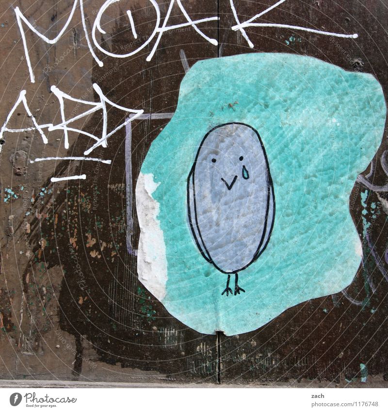 don't be sad Stadtzentrum Mauer Wand Fassade Vogel Zeichen Schriftzeichen Ziffern & Zahlen Ornament Graffiti Linie zeichnen Traurigkeit blau grau Sorge