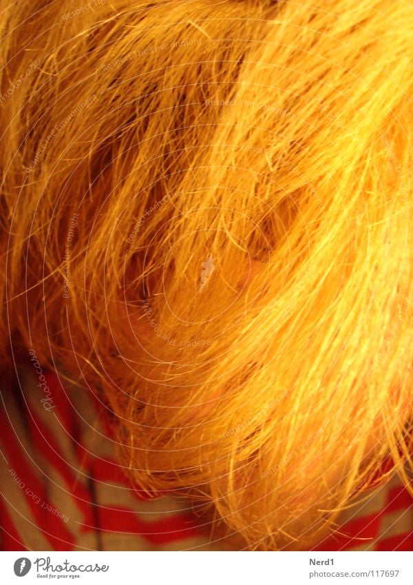 Gelbe Haare gelb blond Mann obskur Haare & Frisuren Männerhaare langhaarig gesichtslos anonym unerkannt unkenntlich Haarsträhne Haarstrukturen Wuschelkopf Farbe
