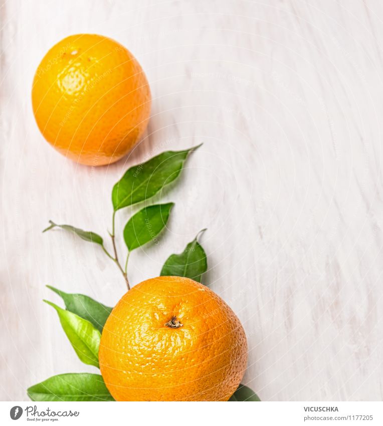 Frische Orangen auf Zweig mit Blätter Lebensmittel Frucht Ernährung Frühstück Bioprodukte Vegetarische Ernährung Diät Saft Stil Design Gesunde Ernährung Sommer