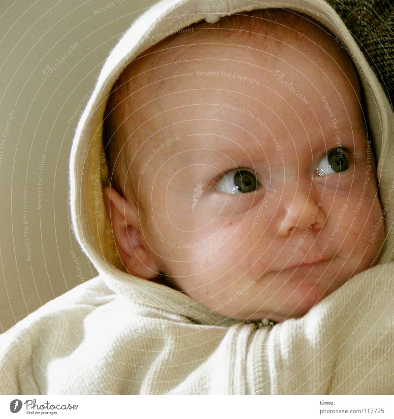 Off Pic Story Baby Kleinkind Junge Auge Ohr 1 Mensch 0-12 Monate Jacke Kapuzenjacke beobachten Kommunizieren Blick Neugier Schutz Wachsamkeit Partnerschaft