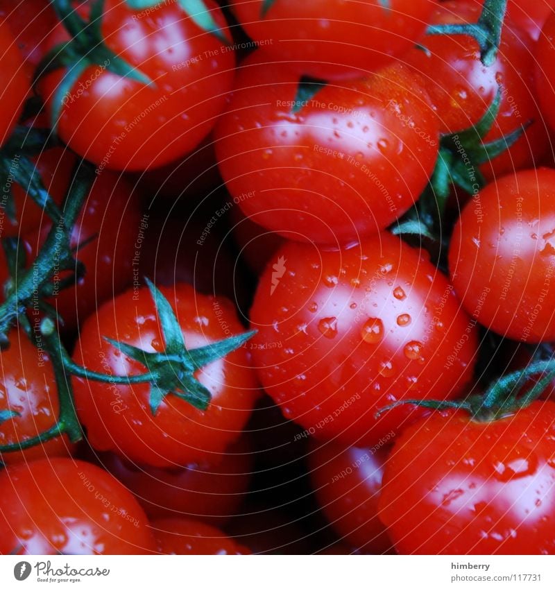 tomatencase Küche kochen & garen Zutaten frisch Landwirtschaft Sommer Gesundheit Pflanze Gemüse Vegetarische Ernährung Makroaufnahme Nahaufnahme Tomate Markt