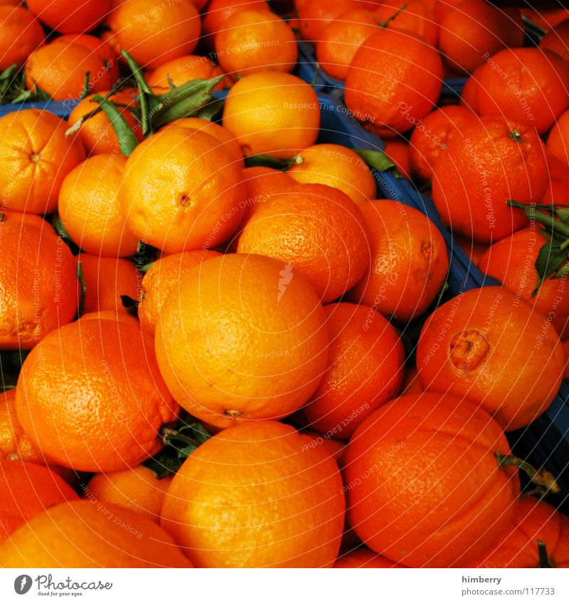 orangencase Zitrusfrüchte Orange Orangensaft Vitamin frisch Vitamin C Frucht Sommer Natur himbeertoni