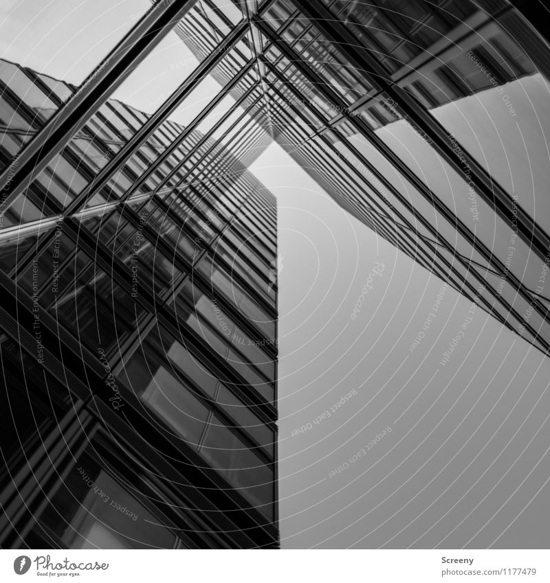 Hoch hinaus #6 Stadt Hochhaus Gebäude Architektur Fassade Fenster Glas Metall hoch Wachstum Schwarzweißfoto Außenaufnahme Menschenleer Tag