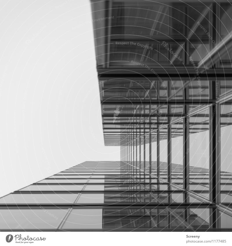 Hoch hinaus #5 Stadt Hochhaus Gebäude Architektur Fassade Fenster Glas Metall hoch Wachstum Schwarzweißfoto Außenaufnahme Menschenleer Tag