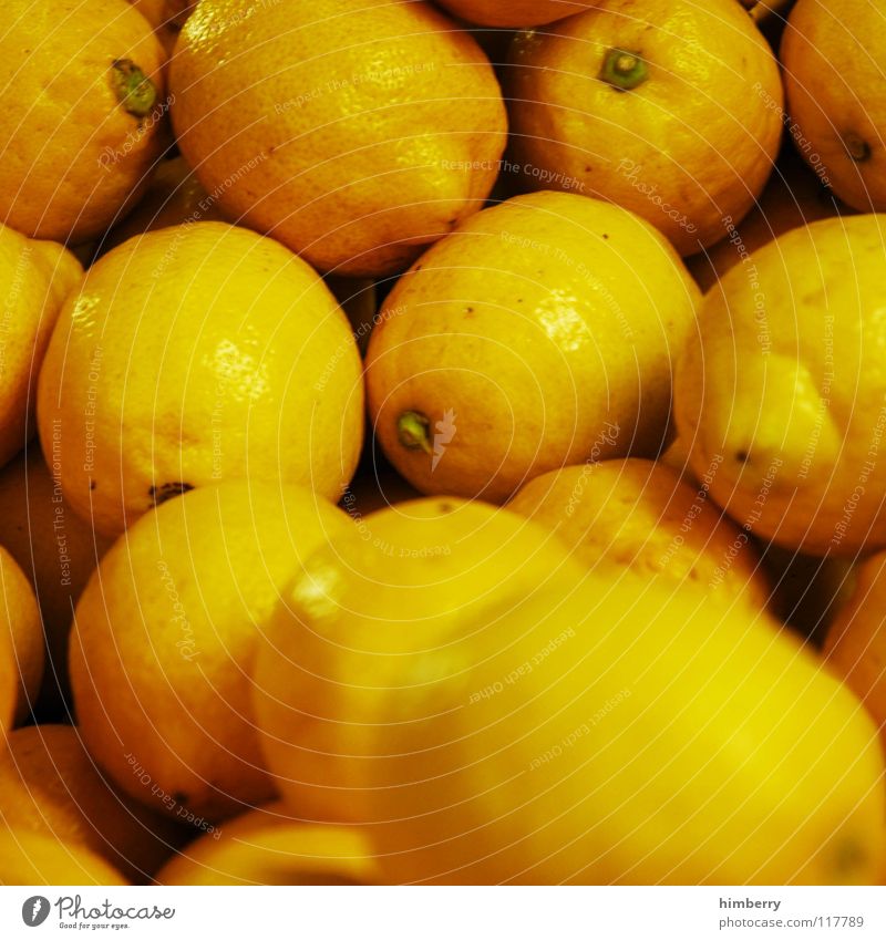 zitronencase Zitrone frisch gelb Saft Zitronensaft Wochenmarkt Gesundheit Vitamin Frucht Makroaufnahme Nahaufnahme Wut Markt Natur himbeertoni