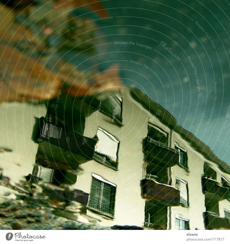 ::SCHLUSS MIT HERBST ENDGÜLTIG:: Haus Gebäude Stadthaus Lebewesen Häusliches Leben Balkon falsch nass Pfütze Herbst Blatt Reflexion & Spiegelung Wasser hausen