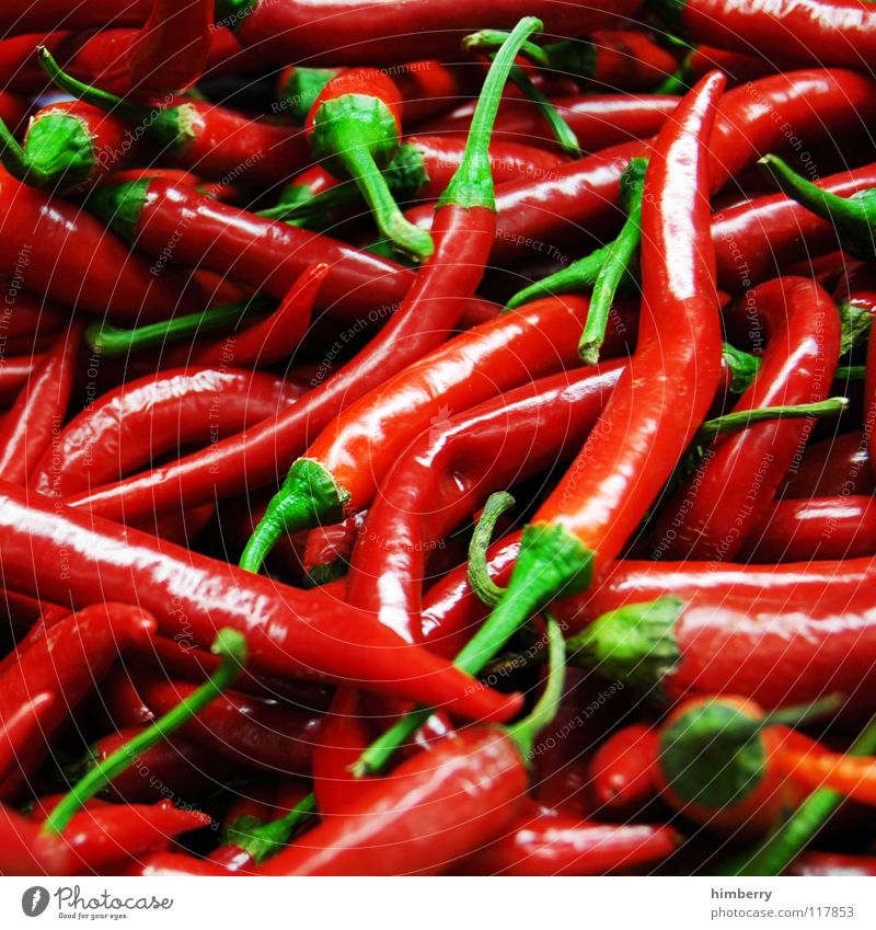 peperonicase Peperoni Kräuter & Gewürze Zutaten Geschmackssinn Mahlzeit rot kochen & garen Mittelamerika Gemüse Vegetarische Ernährung Scharfer Geschmack