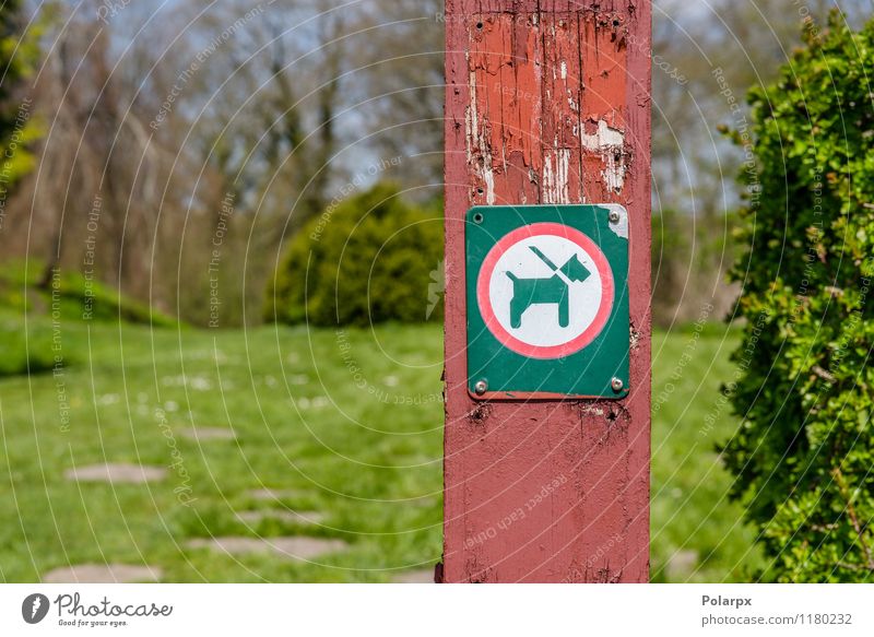 Hund in einem Leinezeichen Tier Park Wege & Pfade Haustier Hinweisschild Warnschild Sauberkeit rot schwarz weiß Sicherheit Vorsicht Pfosten Zeichen anleinen